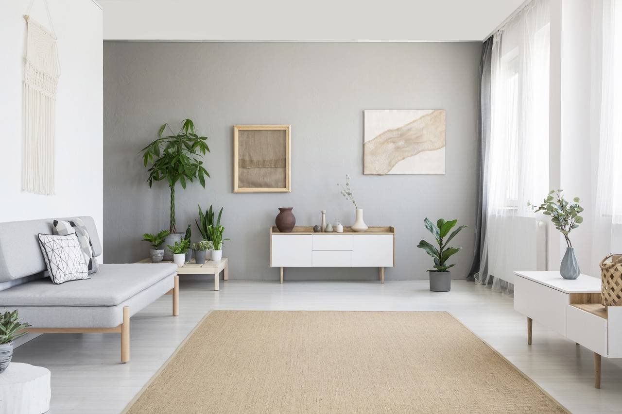 Sala minimalista com plantas